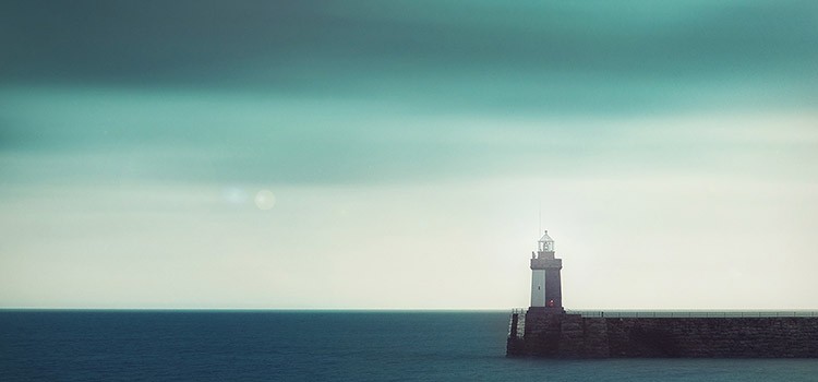 東莞一小伙公開售賣肉食孔雀 市民質疑其行為是