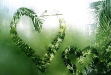 印度最干凈的地方，竟然是這樣的一個(gè)村莊