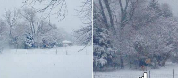 美國一懶馬下雪天不進(jìn)屋 愛躺著睡覺常被誤以為已死(圖1) 美國一懶馬下雪天不進(jìn)屋 愛躺著睡覺常被誤以為已死(圖1)