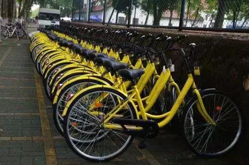 大敗局!萬人“圍攻”ofo總部,獨角獸一地雞毛!(圖4) 大敗局!萬人“圍攻”ofo總部,獨角獸一地雞毛!(圖4)