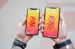 科技晚報：蘇寧下調iPhone XS系列售價 日企將推出